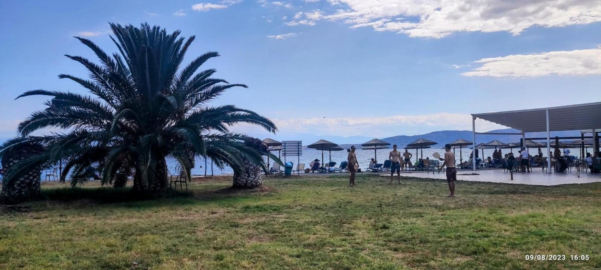 Delphitea Philoxenia Daire Dış mekan fotoğraf